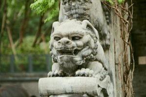 Read more about the article Harnessing the Power of Crystals-Feng Shui Ornaments for Spiritual Growth