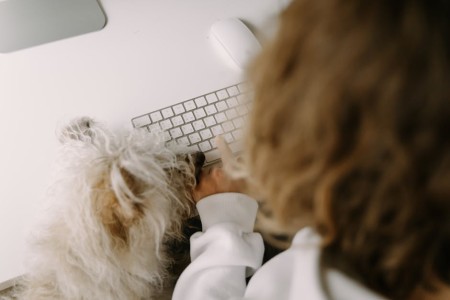 You are currently viewing Home Office Harmony-Feng Shui Solutions for a Productive Work Environment