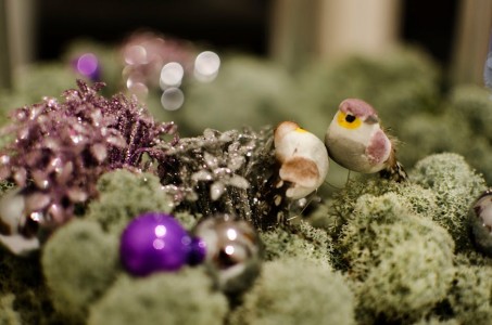 Read more about the article How Feng Shui Energy Ornaments Can Improve Your Home’s Atmosphere