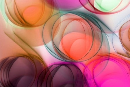 Read more about the article How to Arrange Feng Shui Ornaments for Maximum Positive Energy Flow