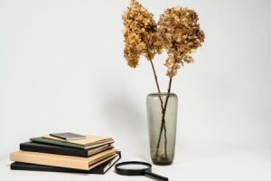 Read more about the article How to Choose Feng Shui Ornaments for a Harmonious Workspace