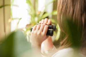 Read more about the article How to Select Feng Shui Items for a Balanced Home Environment