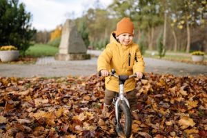 Read more about the article How to Select Feng Shui Ornaments for a Balanced Family Environment