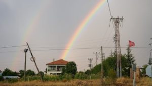 Read more about the article How to Use Feng Shui Energy Ornaments for a Balanced Home Environment