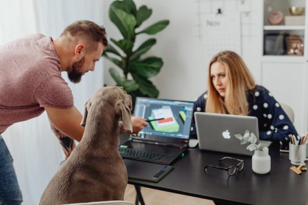 You are currently viewing How to Use Feng Shui Items to Improve Your Work-from-Home Setup