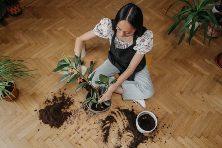 Read more about the article Enhance Your Home\’s Energy-Top Feng Shui Ornaments for a Harmonious Living Space
