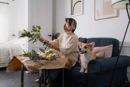 Read more about the article Feng Shui Energy Ornaments for Pet Owners-Creating a Harmonious Home