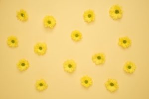 Read more about the article How to Incorporate Feng Shui Elements into Your Garden with Ornaments