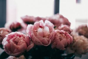 Read more about the article How to Select the Perfect Feng Shui Gift for Any Occasion