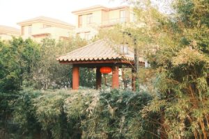 Read more about the article How to Use Feng Shui Ornaments to Create a Peaceful Home Environment