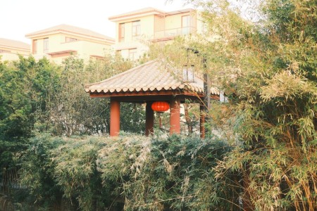 You are currently viewing How to Use Feng Shui Ornaments to Create a Peaceful Home Environment